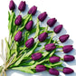 Bouquet of purple tulips on a white background