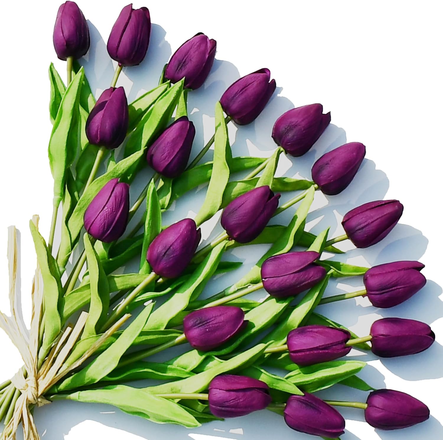 Bouquet of purple tulips on a white background