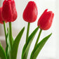 real touch red tulips 
